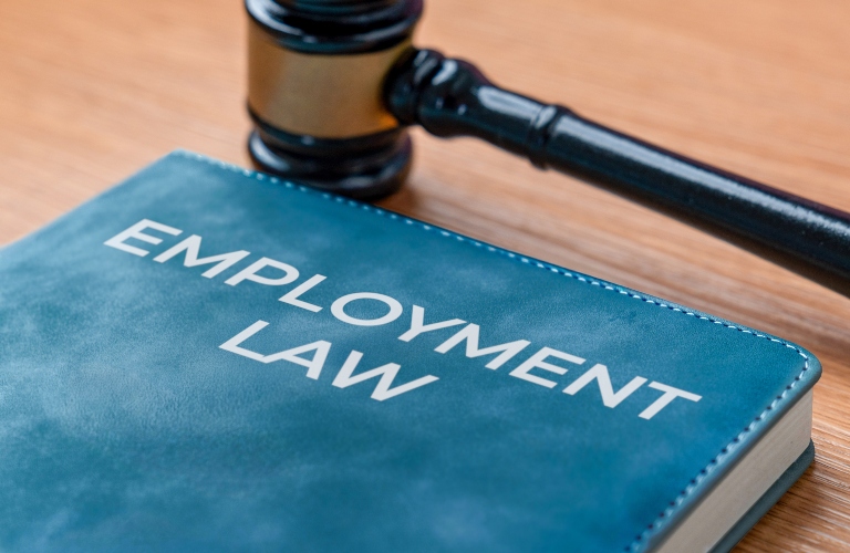 Close-up of a book titled Employment Law and judge's gavel
